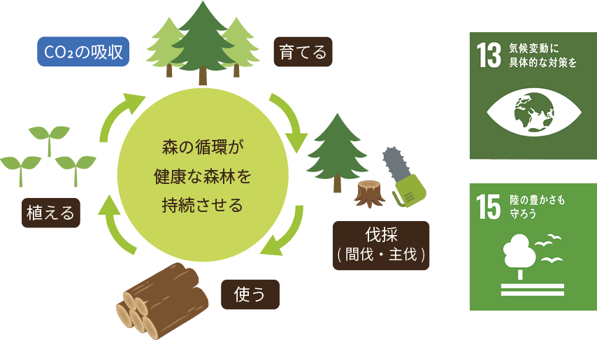 森の循環